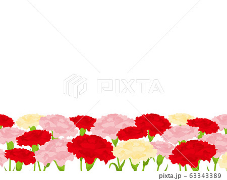 カーネーションの背景ベクターイラスト素材のイラスト素材