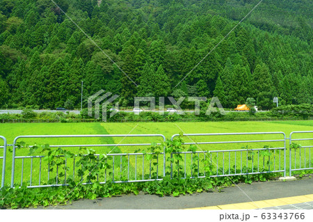 北陸本線の沿線風景 北陸本線の沿線風景 63343766