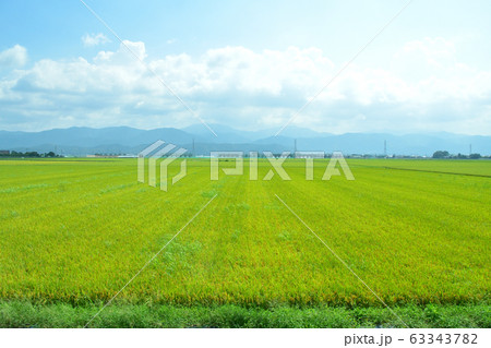 北陸本線の沿線風景 63343782