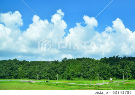 北陸本線の沿線風景 63343789