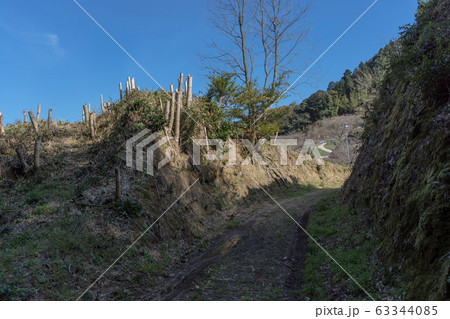 月山　富田城　大土塁 63344085