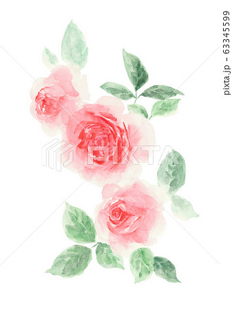 赤いバラ 赤いバラ 63345599