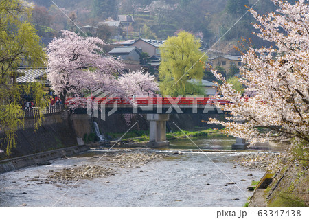 岐阜県高山市 宮川 中橋 桜 (4月) 岐阜県高山市 宮川 中橋 桜 (4月) 63347438