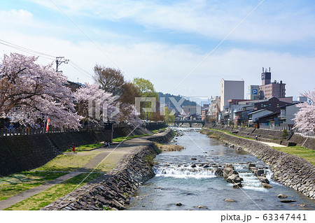岐阜県高山市　宮川　中橋　桜　（4月） 63347441