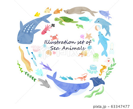 海の生き物のイラストセット 絵本風 のイラスト素材