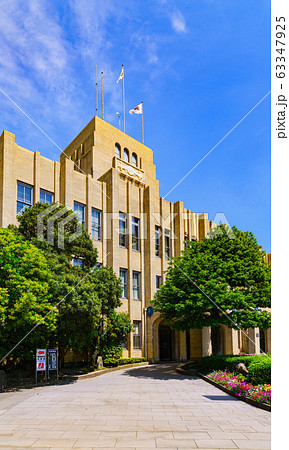 鹿児島市役所　市庁舎　市役所　鹿児島市　鹿児島県　日本　風景　行政　役所　地方政治【公道から撮影】 63347925