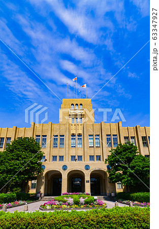 鹿児島市役所 市庁舎 市役所 鹿児島市 鹿児島県 日本 風景 行政 役所 地方政治【公道から撮影】 鹿児島市役所 市庁舎 市役所 鹿児島市 鹿児島県 日本 風景 行政 役所 地方政治【公道から撮影】 63347927