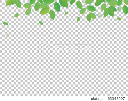 新緑のイラスト フレームメッセージカード 63348007