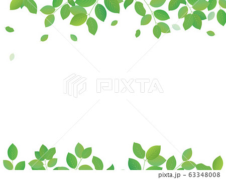 新緑のイラスト フレームメッセージカードのイラスト素材