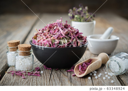 Bottles of homeopathic granules, echinacea flowers Bottles of homeopathic granules, echinacea flowers 63348924