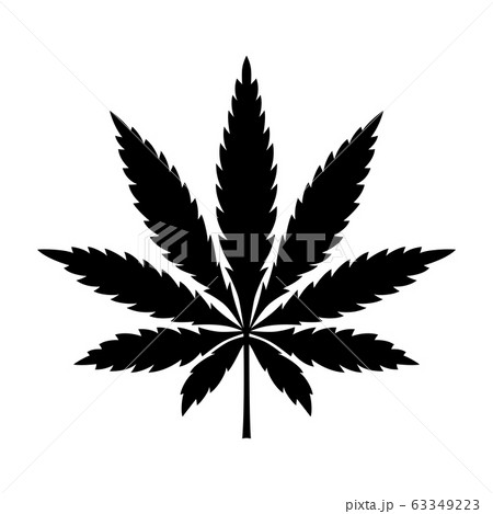 Marijuana leaf or Marijuana leaf or 63349223