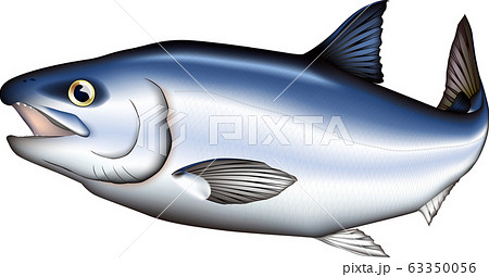 epidemiology clipart fish