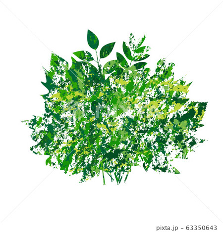 vector summer bouquet made of maple and other leaves in grunge style vector summer bouquet made of maple and other leaves in grunge style 63350643