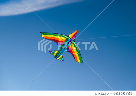 A colorful kite flying in the sky is a symbol of freedom and equality of free sexual people 63350739