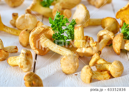 Fresh chanterelles with parsley on a rustic white table 63352836