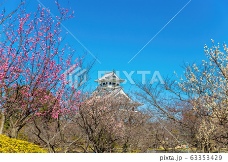 長浜城 (3月  梅林) 63353429