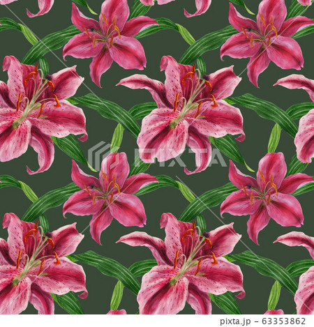 Stargazer Lily Watercolor Seamless Patternのイラスト素材