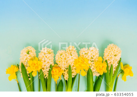 hyacinth and daffodils 63354055