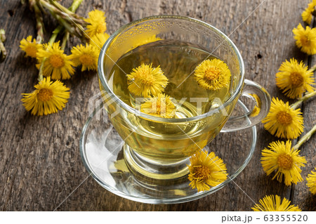 Herbal tea with coltsfoot flowers on a table 63355520