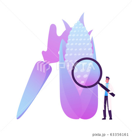 Agricultural Genetics Technology Concept. Tiny Male Scientist Character with Magnifying Glass Look on Huge Genetically Modified Corn and Carrot. Biology Genome Engineering. Cartoon Vector Illustration 63356161