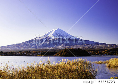 (山梨県)晩秋の河口湖畔 富士山 (山梨県)晩秋の河口湖畔 富士山 63356723