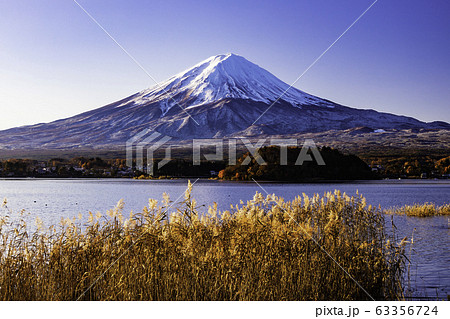 (山梨県)晩秋の河口湖畔 富士山 (山梨県)晩秋の河口湖畔 富士山 63356724