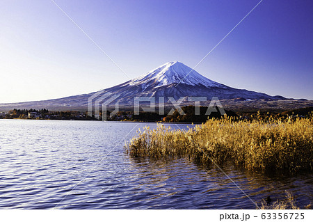(山梨県)晩秋の河口湖畔 富士山 (山梨県)晩秋の河口湖畔 富士山 63356725