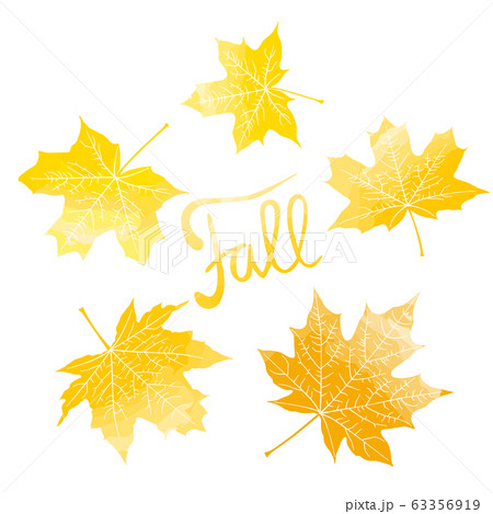Fall lettering and yellow maple leaves Fall lettering and yellow maple leaves 63356919