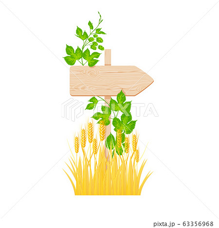 Wooden arrow signboard, hop branch and barley Wooden arrow signboard, hop branch and barley 63356968