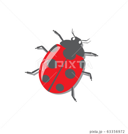 Red ladybug with shadow 63356972