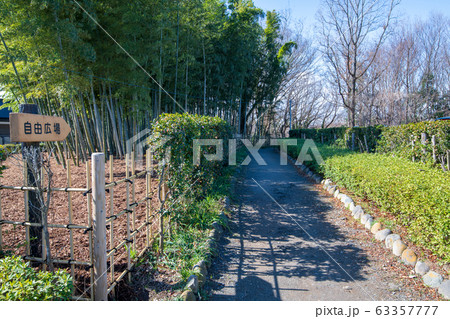 上尾丸山公園 遊歩道 上尾市 上尾丸山公園 遊歩道 上尾市 63357777