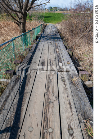 上尾丸山公園 遊歩道 上尾市 上尾丸山公園 遊歩道 上尾市 63358016