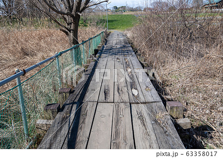 上尾丸山公園　遊歩道　上尾市 63358017