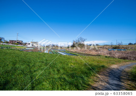 上尾丸山公園 遊歩道付近の景色 上尾市 上尾丸山公園 遊歩道付近の景色 上尾市 63358065