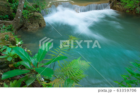 waterfall in rain forest  63359706