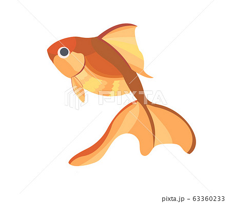 シンプルな金魚のイラスト素材 赤 のイラスト素材
