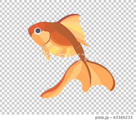 シンプルな金魚のイラスト 赤 のイラスト素材