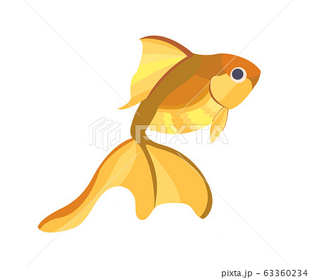 シンプルな金魚のイラスト 金 のイラスト素材