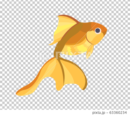 シンプルな金魚のイラスト素材 金 のイラスト素材