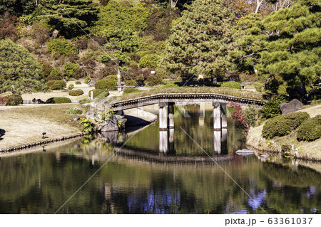 （東京都）六義園の紅葉 63361037