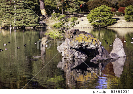 （東京都）六義園の紅葉 63361054