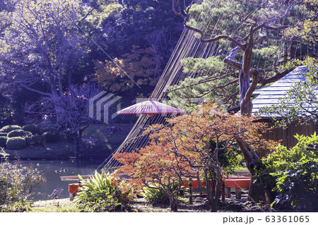 (東京都)六義園の紅葉 (東京都)六義園の紅葉 63361065