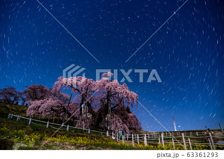 福島県 三春滝桜 星空 星の軌跡 福島県 三春滝桜 星空 星の軌跡 63361293