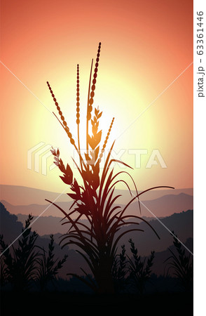 Natural forest mountains horizon hills silhouettes of trees. Evening Sunrise and sunset. Landscape wallpaper. Illustration vector style. Colorful view background. 63361446