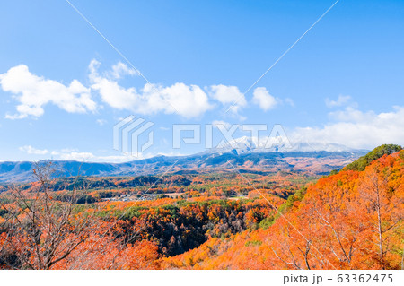 九蔵峠から望む秋の御嶽山 九蔵峠から望む秋の御嶽山 63362475