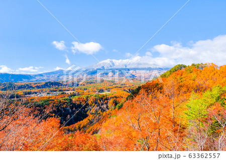 九蔵峠から望む秋の御嶽山 九蔵峠から望む秋の御嶽山 63362557