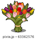 Bouquet of multicolored tulips isolated on white background. Vector cartoon close-up illustration. 63362576
