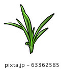 Green grass seedling isolated on white background. Vector cartoon close-up illustration. 63362585