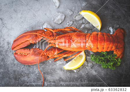 Fresh lobster food on a black plate background / Fresh lobster food on a black plate background / 63362832