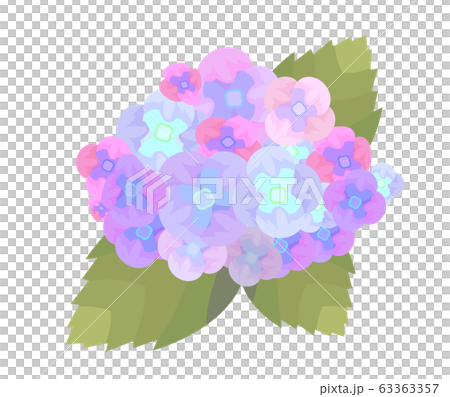 シンプルな紫陽花のイラストのイラスト素材